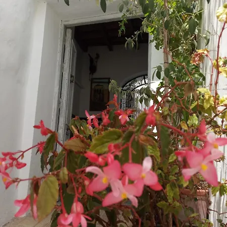 Azur Apartment
